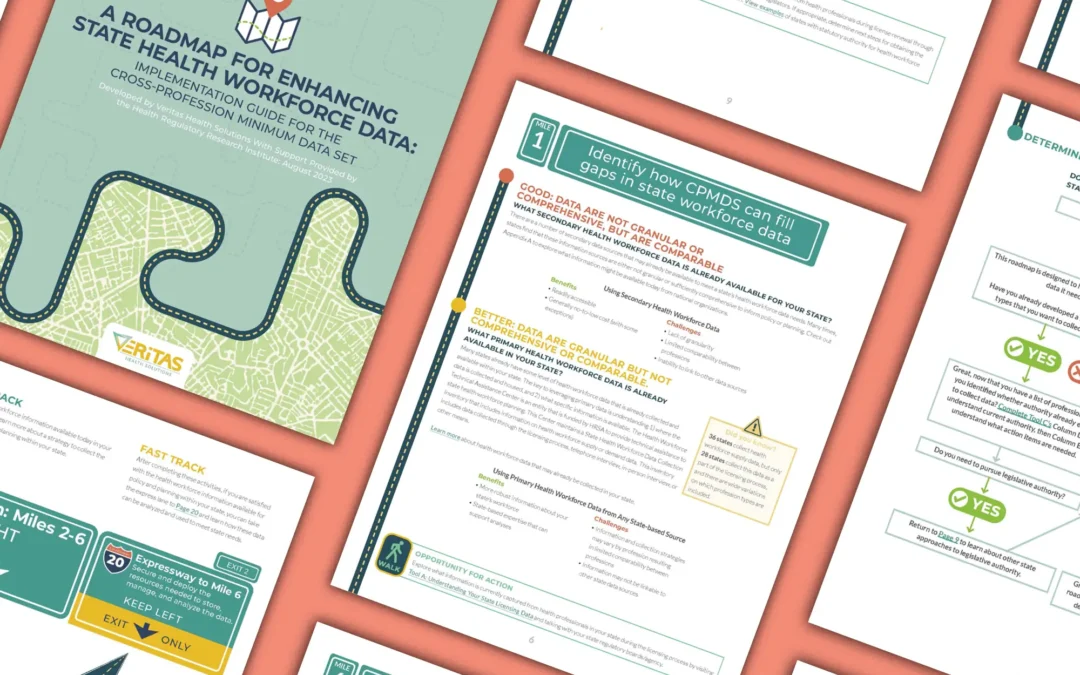 A Roadmap for Enhancing State Health Workforce Data: Implementation Guide for the Cross-Profession Minimum Data Set