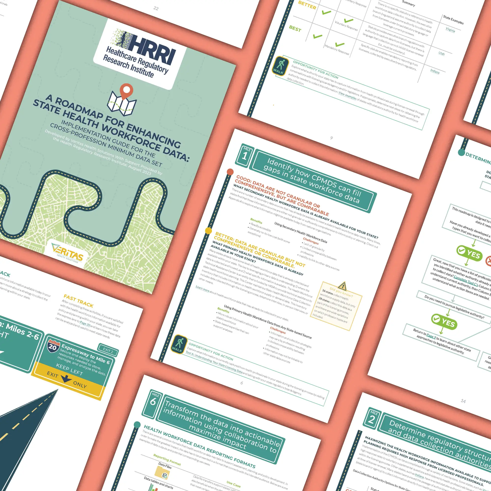 project example image roadmap